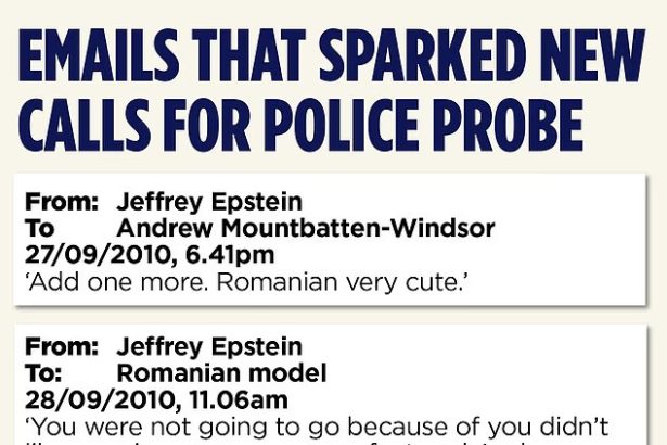romanca foarte draguta livrata de epstein lui andrew mountbatten windsor la palatul buckingham 6988798786e7e