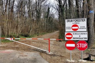 romsilva drumul forestier din padurea baneasa exista din 1974 si nu a iesit niciodata din fondul forestier 698c747773265