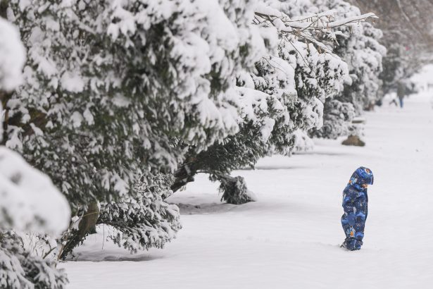 scoli inchise din cauza viscolului galati vrancea si partial braila trec in online 699554d9db09d
