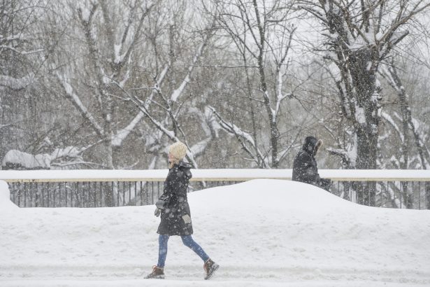sedinta extraordinara la guvern dupa avertizarile anm si hidrologilor cod portocaliu de ninsori si risc de viituri locale 6994869497f19
