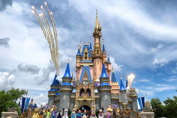 seful parcurilor tematice preia conducerea walt disney company 6983118c67352