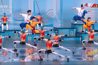 spectacolul robotilor umanoizi din china specializati in arte martiale exista un real motiv de ingrijorare pentru europa 69996abbe8416