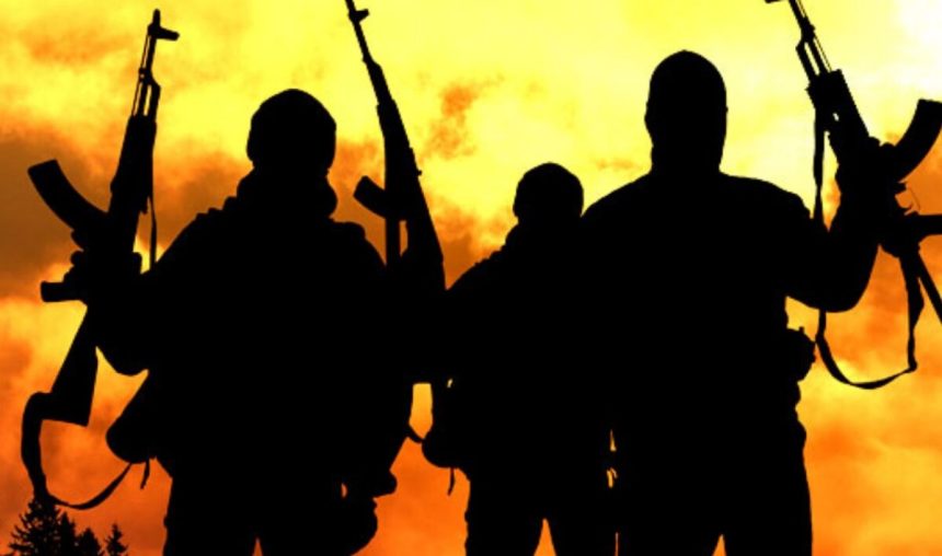 statele unite desfasoara sute de militari in nigeria pentru instruirea armatei impotriva gruparilor jihadiste 698c40941fd58