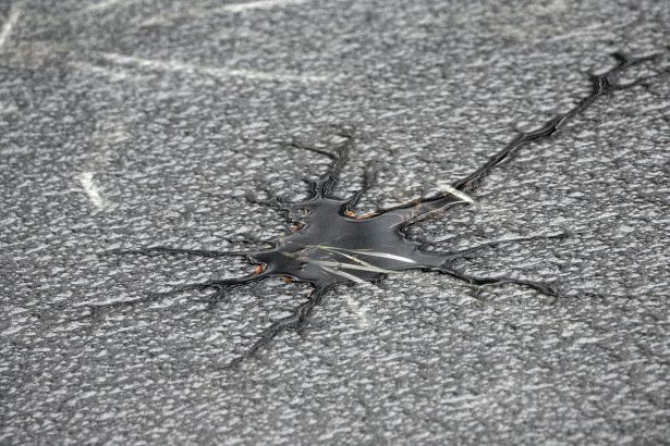 temperaturi minime istorice in cuba insula a inregistrat 0c pentru prima data de la inceputul masuratorilor 69831b160834a