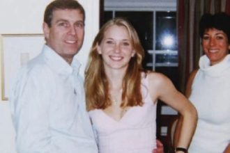 transpira acum fotografia lui andrew mountbatten windsor de pe bancheta din spate a masinii de politie expusa la louvre 699c2b42c9ff0