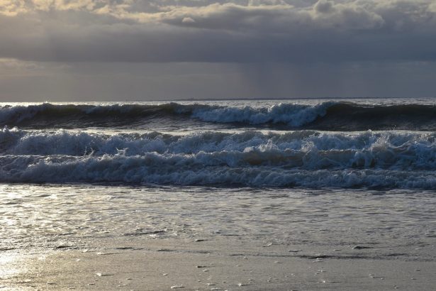 un baiat de 13 ani a inotat timp de patru ore pentru a si salva familia luata de valuri 698209e58b294