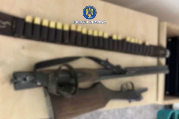 un barbat din constanta arestat preventiv dupa ce a impuscat un caine barbatul era baut 69847d76a85e6