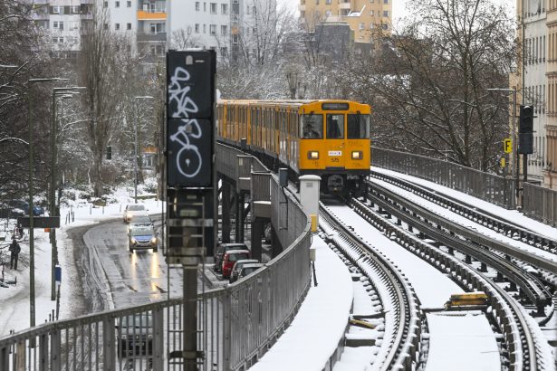 un controlor de bilete a murit dupa ce a fost atacat de un pasager fara bilet intr un tren din germania 6984481c25df7