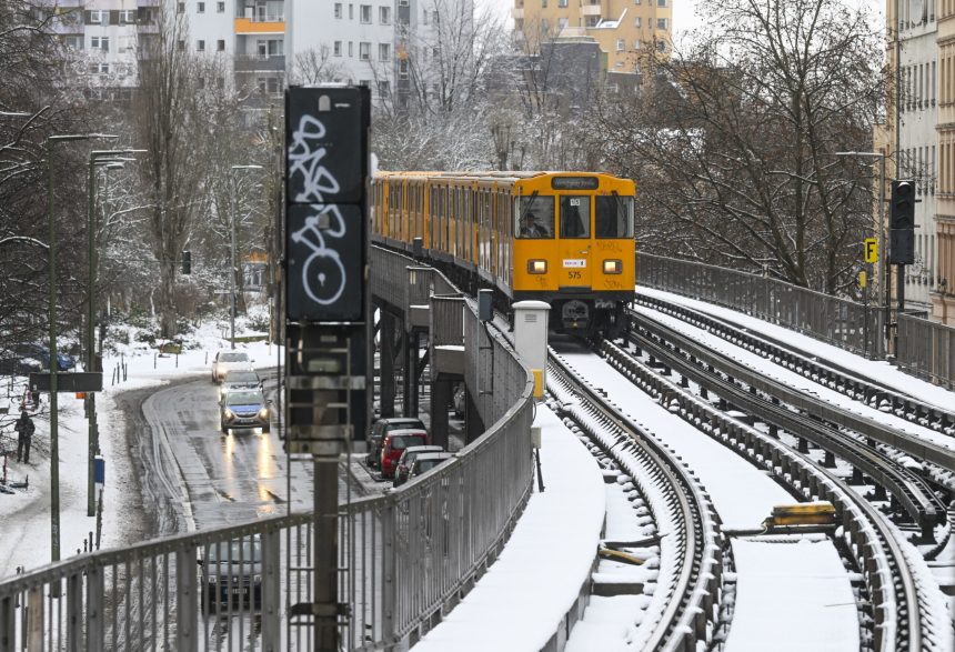 un controlor de bilete a murit dupa ce a fost atacat de un pasager fara bilet intr un tren din germania 6984481c25df7