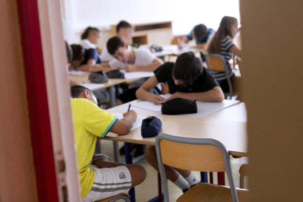 vacanta de schi a elevilor decisa pe judete cand se intorc elevii la scoala 698ed81eedabf