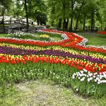 21 martie ziua olteniei regiunea care a dat startul uneia dintre cele mai importante miscari din istoria romaniei 69be692bcad8a