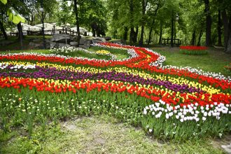 21 martie ziua olteniei regiunea care a dat startul uneia dintre cele mai importante miscari din istoria romaniei 69be692bcad8a