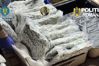 31 kilograme de canabis in trolerele unui italian care a vrut sa intre in romania pe la nadlac 69c1447c9c3ea