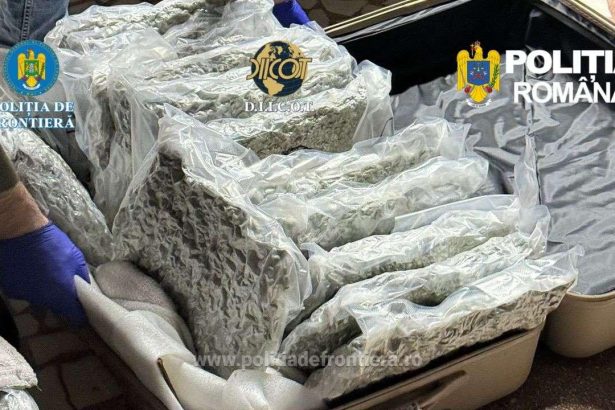 31 kilograme de canabis in trolerele unui italian care a vrut sa intre in romania pe la nadlac 69c1447c9c3ea