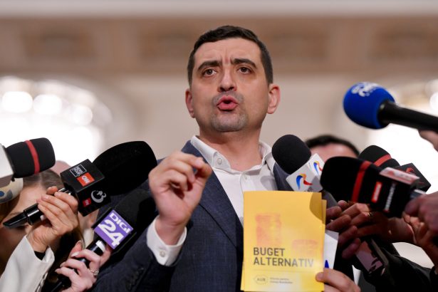 aur a atacat la curtea constitutionala legile bugetului 69c131b8c33be