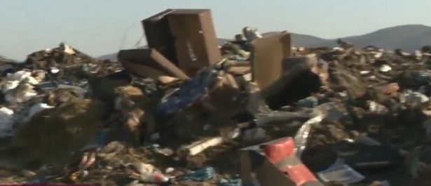 autoritatile bulgare investigheaza un posibil import ilegal de animale din romania abator ilegal descoperit in zona ihtiman 69b6a70225b93