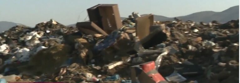 autoritatile bulgare investigheaza un posibil import ilegal de animale din romania abator ilegal descoperit in zona ihtiman 69b6a70225b93