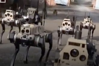 cainii roboti ai chinei dotati cu arme si inteligenta artificiala schimba regulile razboiului 69cbb1aff3d7b