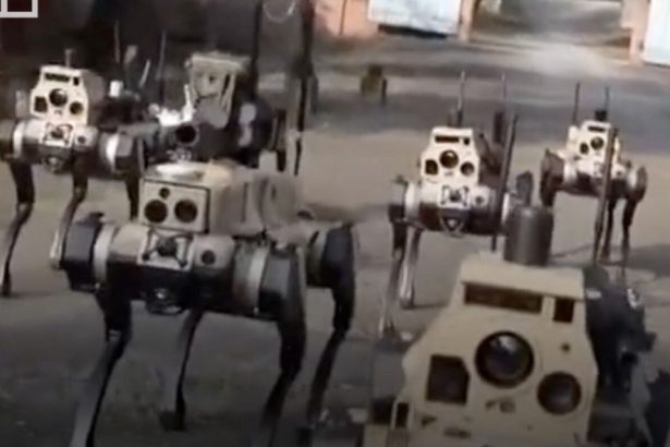cainii roboti ai chinei dotati cu arme si inteligenta artificiala schimba regulile razboiului 69cbb1aff3d7b