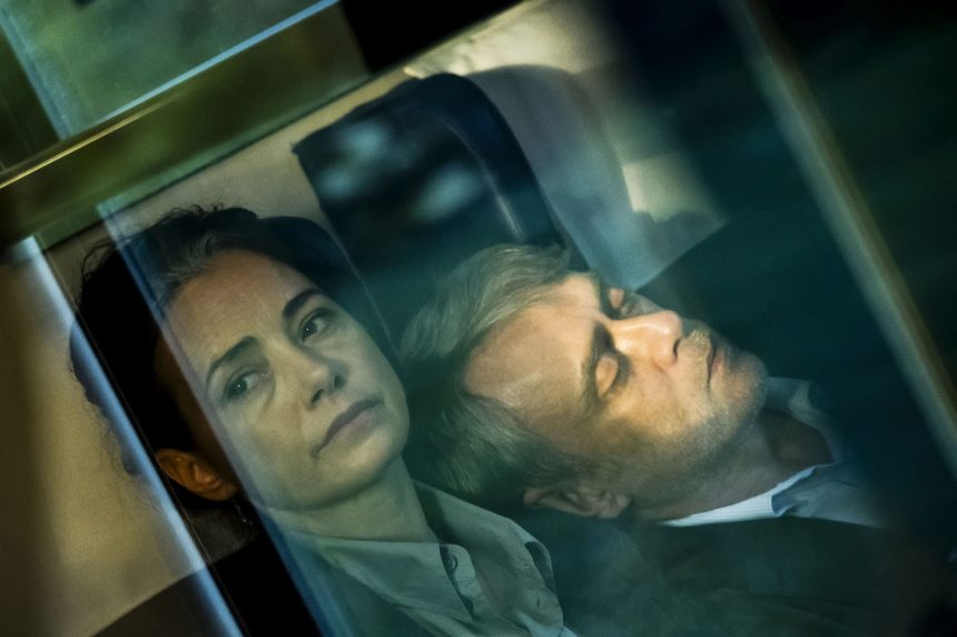 cei mai iubiti ursi 69aac8b19d47b