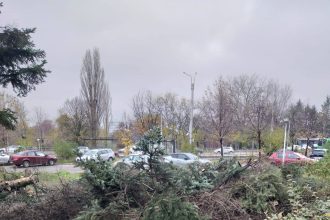 ciocanul de marcat arbori inlocuit cu echipamente moderne 69b0350b4d88d