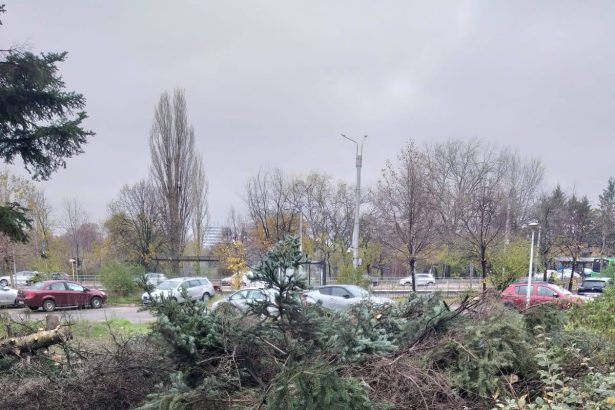 ciocanul de marcat arbori inlocuit cu echipamente moderne 69b0350b4d88d