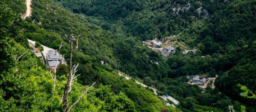 dezlegare la peste doua retete de saramura de pe athos si o ciorba de peste lipoveneasca pentru buna vestire 69c28ef5dfeee