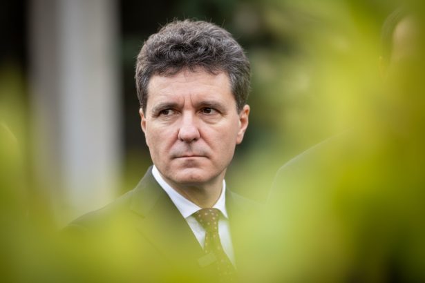 edited anul acesta este crucial nicusor dan dupa intalnirea cu oana gheorghiu la bruxelles 69c014fc18918