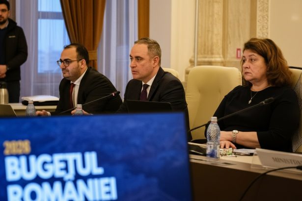 edited curat vot coane fanica dar sa se mai numere o data scene demne de caragiale la parlament la votul din comisii 69ba852a86c21