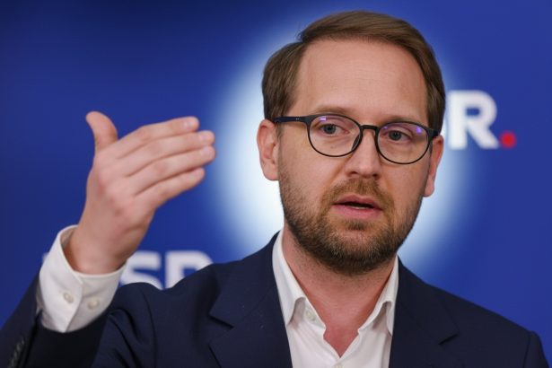 edited fritz psd sa inteleaga ca nu se poate vota pana iese cum vrea psd 69bae41e40a44