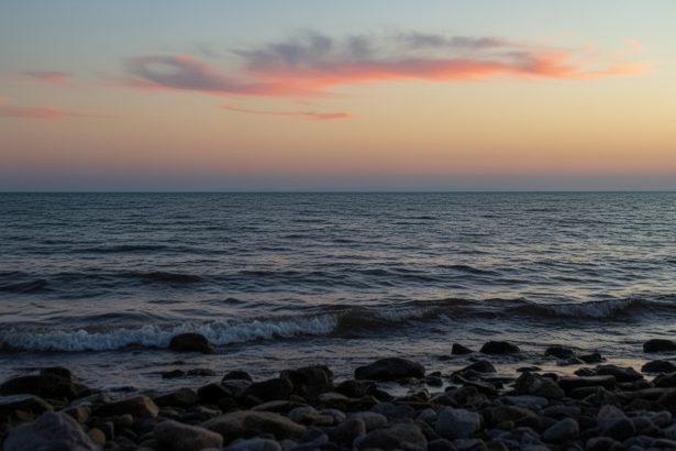 edited inalt oficial american nu suntem pregatiti sa escortam petroliere prin stramtoarea ormuz 69b2b863eacd8