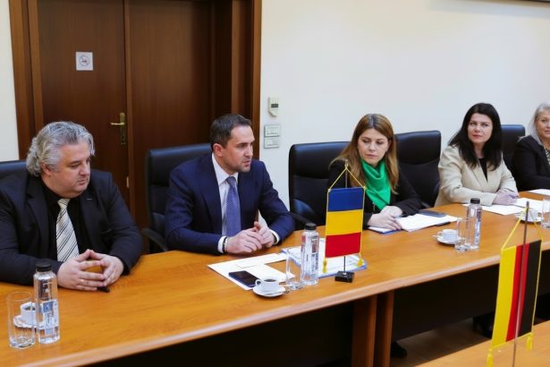 edited ministrul transporturilor discutie cu ambasadorii austriei si germaniei despre regiunea dunarii 69b974179ef9b