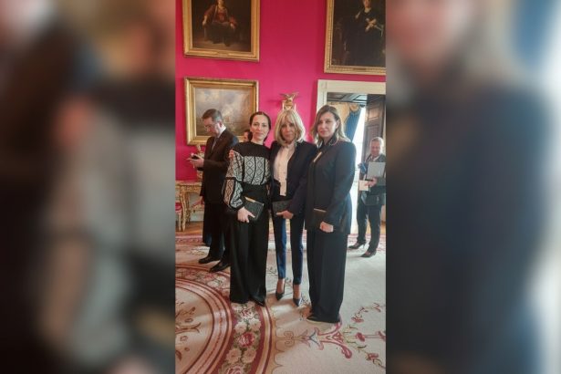 edited mirabela gradinaru alaturi de brigitte macron si olena zelenska la summitul pregatind viitorul impreuna de la casa alba 69c42cace11e8