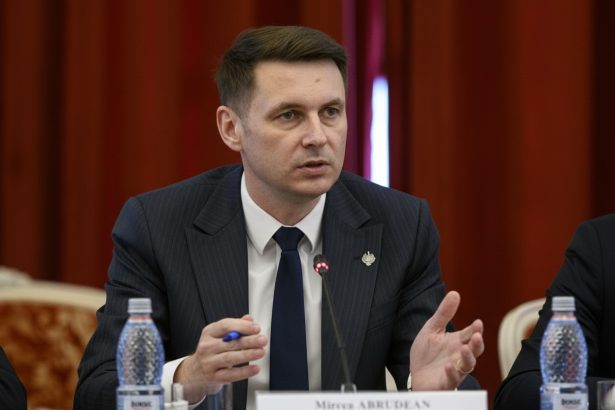 edited mircea abrudean presedintele senatului pnl nu va accepta ca niciun partid sa i dicteze premierul ca ne place sau nu bolojan este premierul romaniei 69c13b30a5913