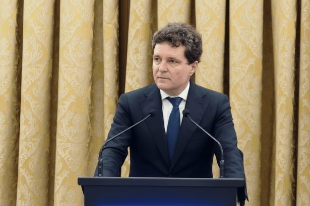 edited nicusor dan despre posibila interventie a romaniei in ormuz poate fi o solutie diplomatica sau o solutie la limita 69c55af471e35