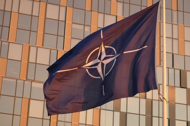 edited nicusor dan intalnire cu mark rutte la sediul aliantei nord atlantice 69b993ecca167