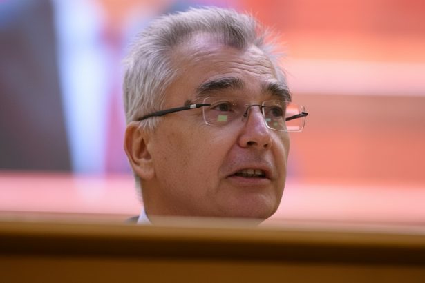 edited petrisor peiu coalitia psd pnl usr udmr a renuntat sa mai sustina scutirea cass pentru mamele aflate in concediu pentru cresterea copiilor 69bc1267a3283