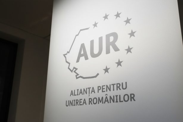 edited proiect de lege aur victimele violentei domestice vor fi informate obligatoriu in scris despre drepturile lor inca de la primul contact cu autoritatile 69a6bc5e8bea3