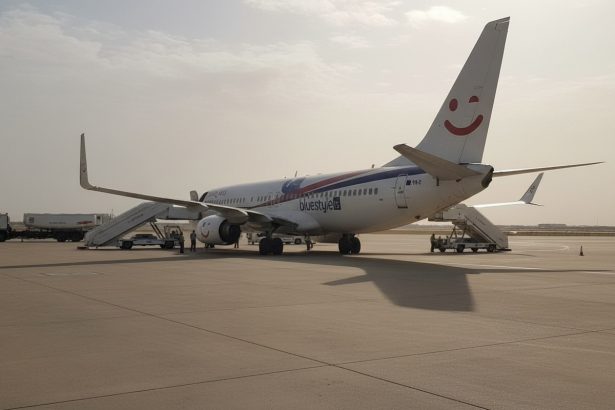 edited romania are noi zboruri rezervate prin mecanismul resceu pentru repatrieri din orientul mijlociu 69aea31fb8c95