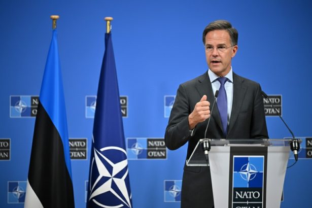 edited rutte va sunt recunoscator pentru ca ati asigurat apararea pe flancul estic 69bbbcff52e88