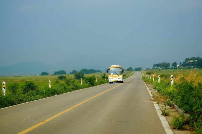 edited transport public gratuit in mai multe zone din australia pentru a combate criza combustibililor 69ca3b2e09cf7