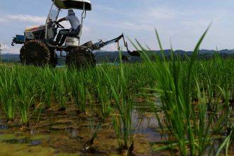 financial times dupa criza petrolului vine criza alimentara preturile ingrasamintelor au crescut brusc iran este unul dintre cei mai mai producatori din lume 69a99ddd7b370