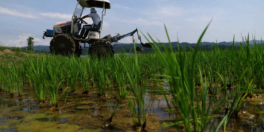 financial times dupa criza petrolului vine criza alimentara preturile ingrasamintelor au crescut brusc iran este unul dintre cei mai mai producatori din lume 69a99ddd7b370