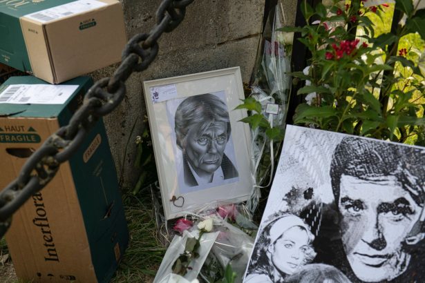 fiul lui alain delon si a retras contestatia impotriva testamentului tatalui sau 69afedf51a386