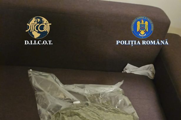 flagrant in timisoara doua kilograme de canabis vandute cu 30 000 de lei 69a806b8be2c5