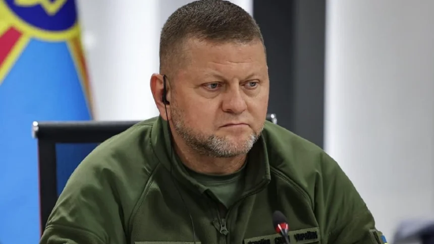 fostul comandant al armatei favoritul sondajelor din ucraina pe ce loc este zelenski 69c656cd04b4d