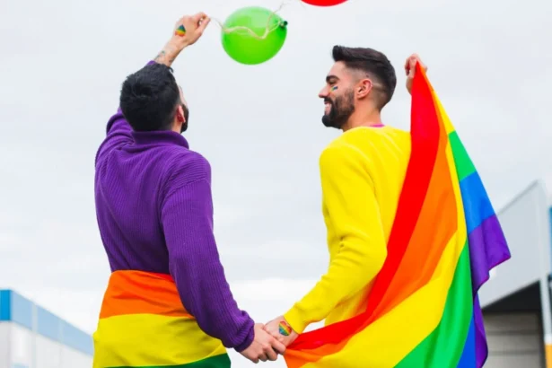 grecia deschide calea adoptiilor pentru cuplurile gay decizie istorica a curtii supreme 69c3c9e62de4e