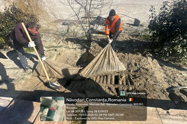 ies la iveala alte nereguli pe plajele din navodari fose septice ingropate in nisip 69b1bc34d8f60