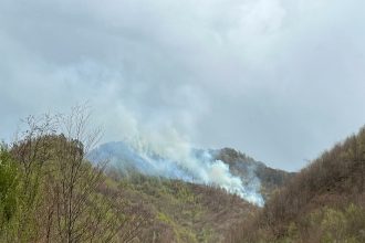 incendiu de proportii in maramures ard vegetatie uscata si litiera 69ad84ea3052a