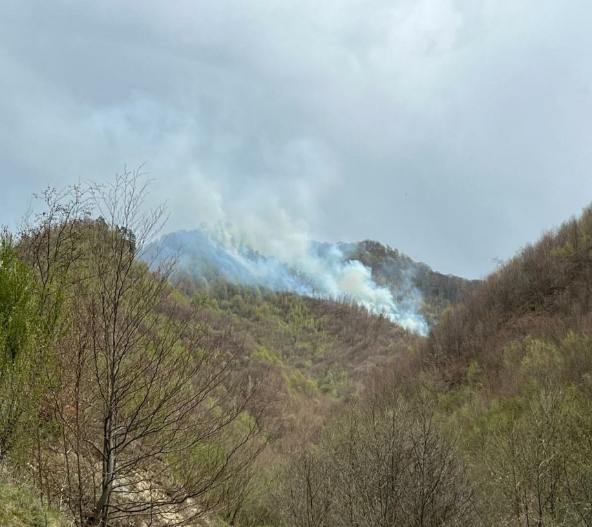 incendiu de proportii in maramures ard vegetatie uscata si litiera 69ad84ea3052a